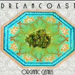 Ice Ft. Blunt Trauma x Lucid x Aryu Iz (Organic Genius)