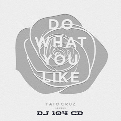 Taio Cruz - Do What You Like (DJ 104 CD Remix)