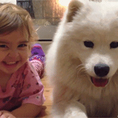 Rebaz - Flower Of Carnage Final