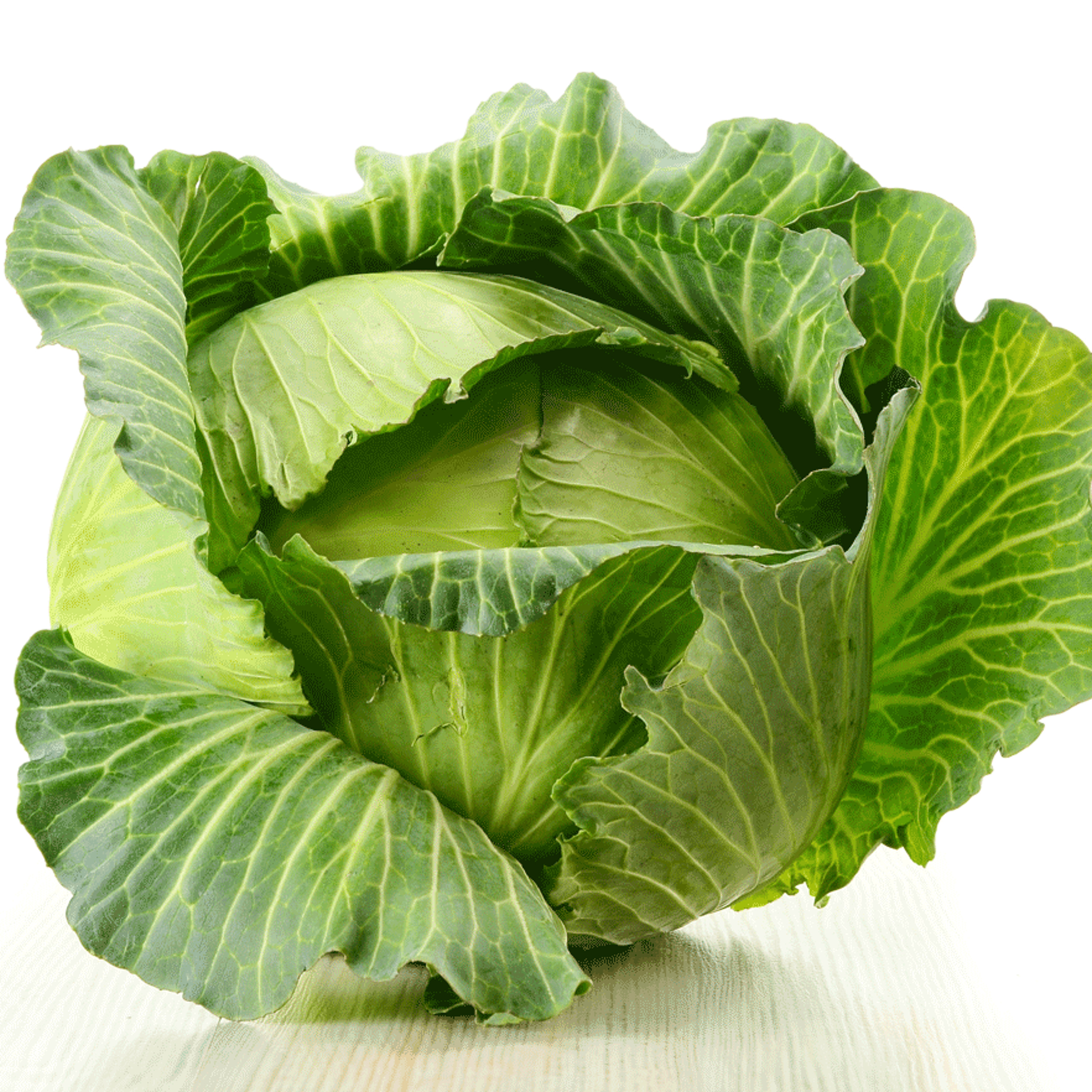 Stuffed Cabbage episode artwork