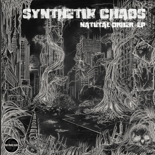 SYNTHETIK CHAOS VS CHRIS RICH TURBO BISCUIT  SAMPLE
