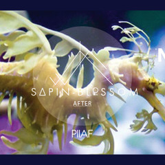 After Sapin-Blossom x Nico Lutine "METRONOMIX #6"