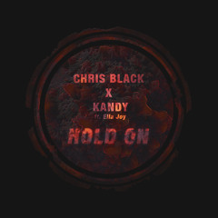 Chris Black & James Xander (Feat. Ella Joy) - Hold On (Vocal Mix)