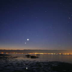 Photograph - Ed Sheeran (DEMO)