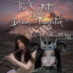 The Synthetic Dream Foundation - In The Realms Of The Unreal