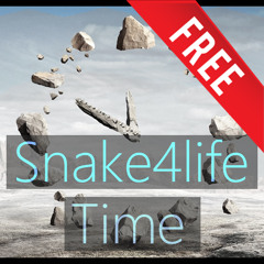 Snake4life - Time (Original Mix)