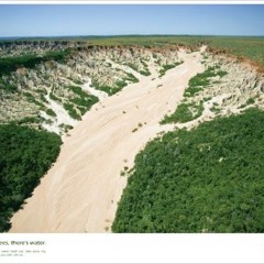 Nentu - New kid in the forest (WTTF 2015 contest)