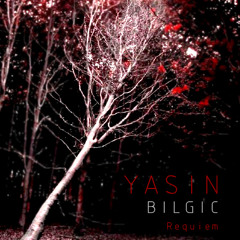 Yasin Bilgic - Kings of Paradise