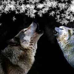 Mixes From Paris - Namaste Bitches