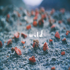 See You Tomorrow - WILD