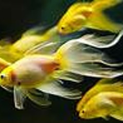 Malchut ShebYesod - Confident Connecting