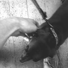 Messed Up Rhythm (feat. Marcel)