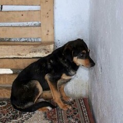 nocturnal depression