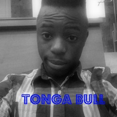 Ndime Tonga Bull