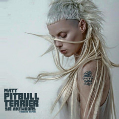 Pitbull Terrier (Die Antwoord Tribute Remix)