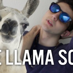 The llama song (full song edit)