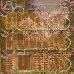 SO FUNKY recorded @ the Beatles Ashran Rishikesh