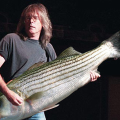 DRUM N BASS. uhm... thing.