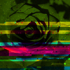 #FreeDL - 100% Irony