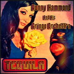Ronny Hammond & His Gringo Orchestra - Tequila (FREE DL)