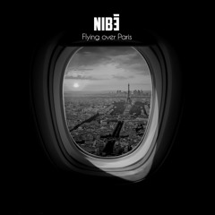 Nibé - Flying Over Paris