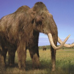 Mammoth(Edit)