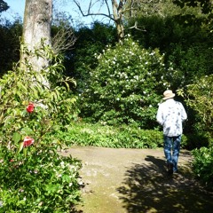 As I Roved Out 2 - Simon Reich & Hamilton Bailie