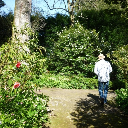 As I Roved Out 2 - Simon Reich & Hamilton Bailie