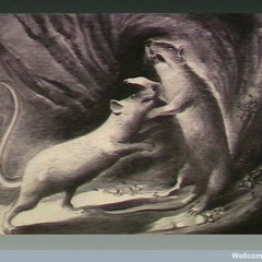 Something Left To Give - Crisp Bellemono