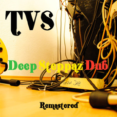 TVS - Deep Steppers Dub - remastered (teaser)