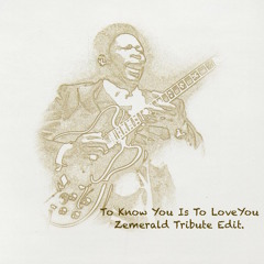 To Know You Is To Love You - BB King Tribute Edit(FREE DL)