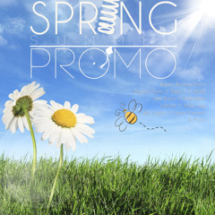 Spring - Summer - Promo Mix [House Rox Records]