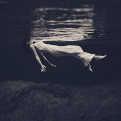 Neil Davidge - Sensor (spvcebreeze remix)