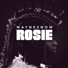 Wayne Snow "Rosie" - Boiler Room Debuts