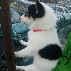 梦醒时分/心有不甘