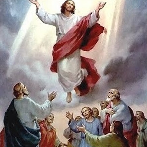 reflexion del evangelio san marcos 16 15 20