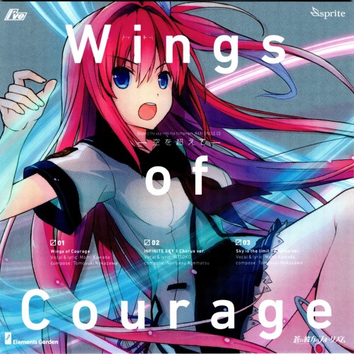 Wings of Courage -하늘을 넘어서-