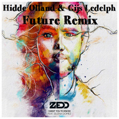 Zedd Ft. Selena Gomez - I Want You To Know (Hidde Olland & Gijs Ledelph future Remix)