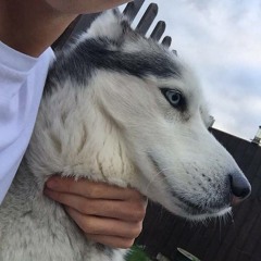 Sweet Darling - Cover by Dai