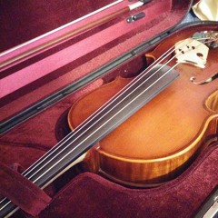 Telemann Concerto For Two Violas (First Movement)