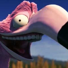 Dancing With My Birds