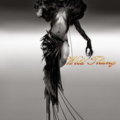 Wild Thang - by Stoney Cole 432hz tuning