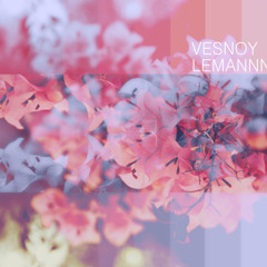 LEMANNN  -  Decay Heat