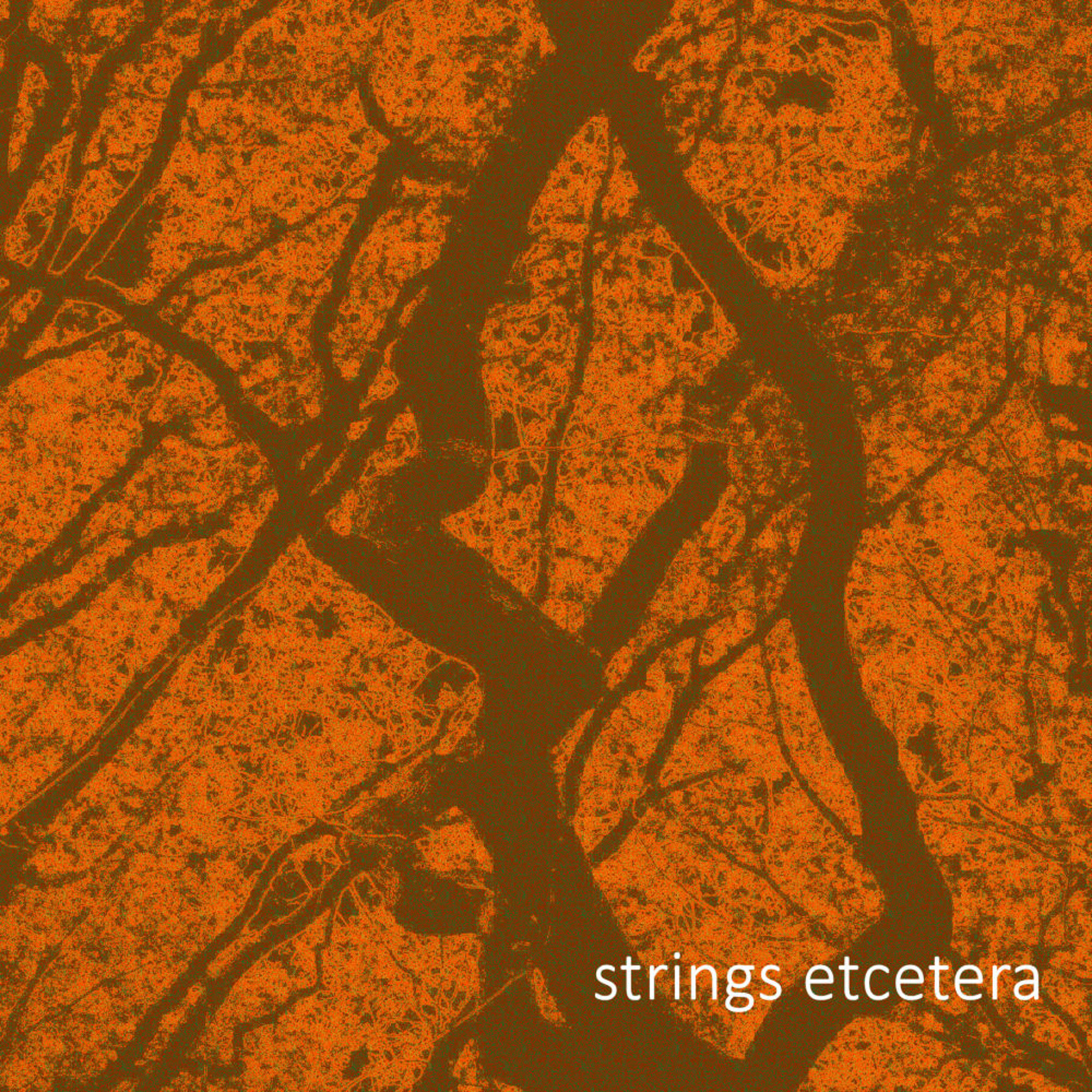 strings etcetera episode artwork