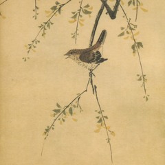 Aux Oiseaux