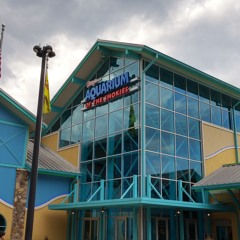 Ripley's Aquarium Of The Smokies