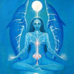 Dolphin Divine