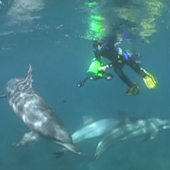 Episode 28 - Justin Gregg