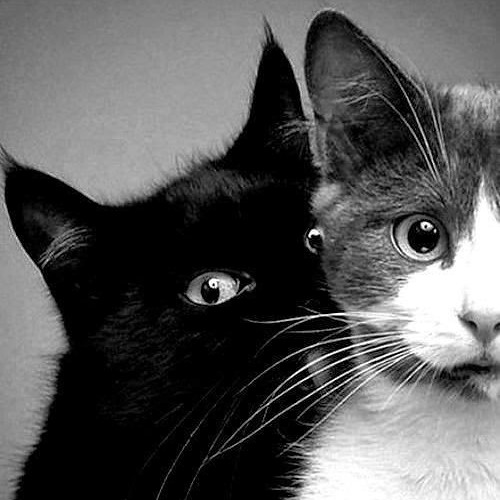 Wąlk The Mǫǫn vs. Stęvię Wondęr (Shuţ Uptighţ Dancę) - Mashup