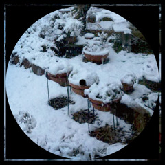 More and More Beats feat. Living Dead / DJ SHORTY